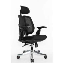 Кресло Orto Bionic Mesh